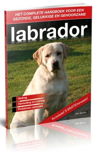 labrador handboek